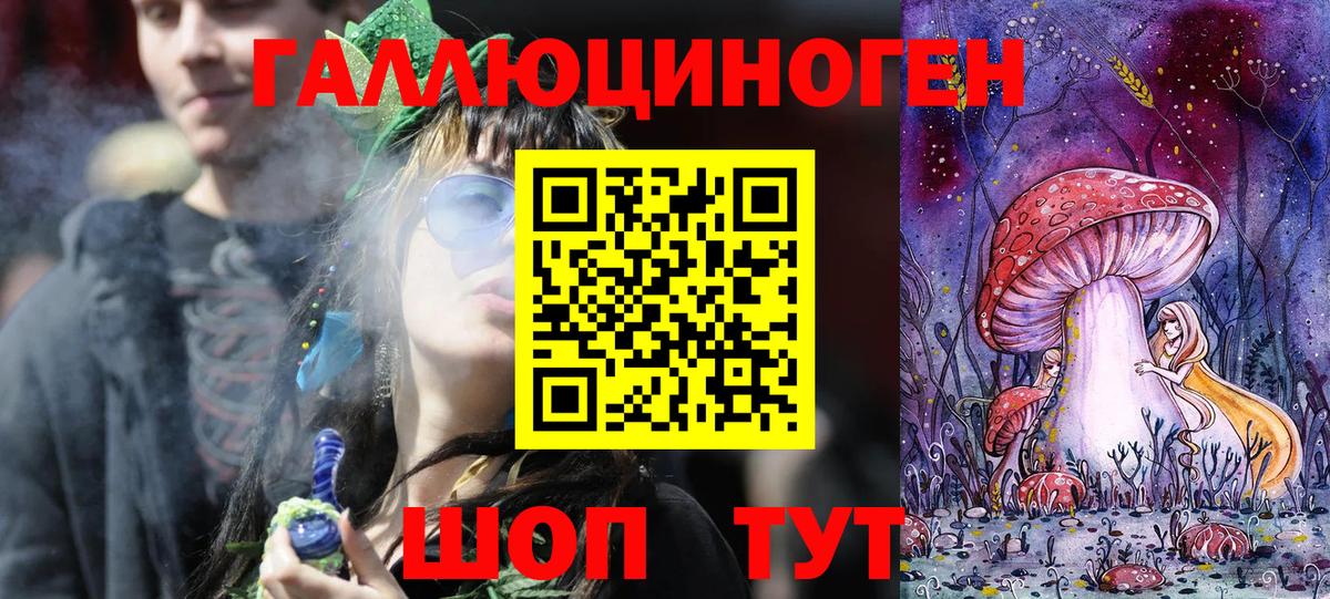 Псилоцибиновые грибы Cubensis Дивногорск