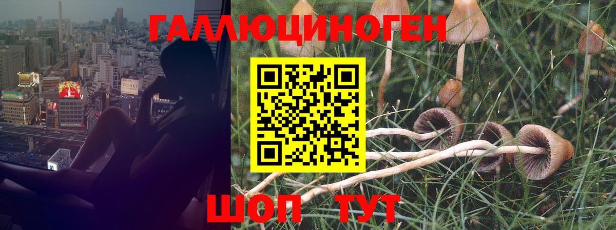 Галлюциногенные грибы Magic Shrooms  Вход с VPN  Дивногорск 
